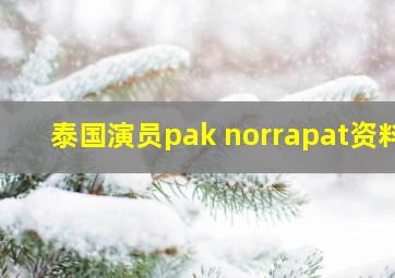 泰国演员pak norrapat资料